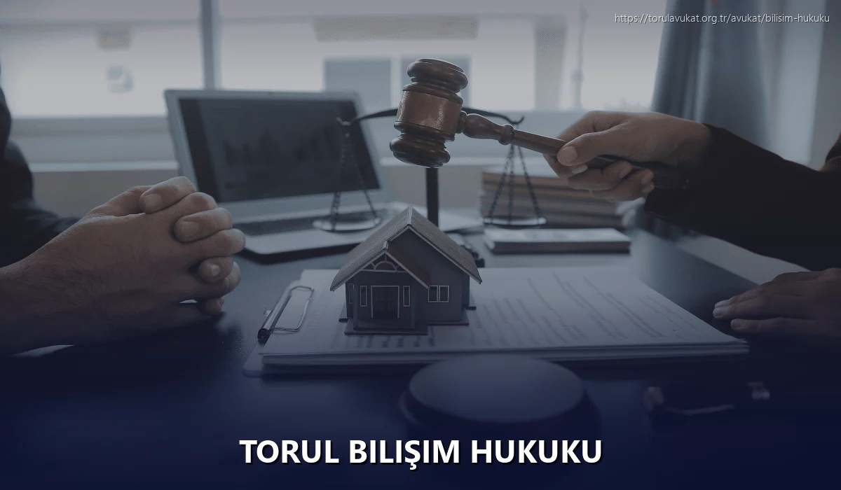 Torul Bilişim Hukuku